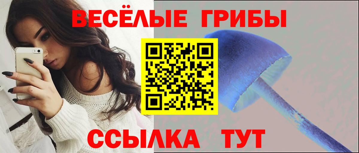 Тихорецк  Псилоцибиновые грибы Psilocybine cubensis  Вход с VPN 